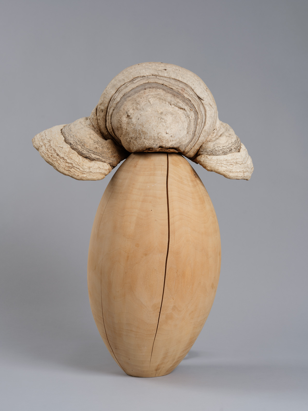 Dominique Bailly. La nature et son double. Ecrit pour voir